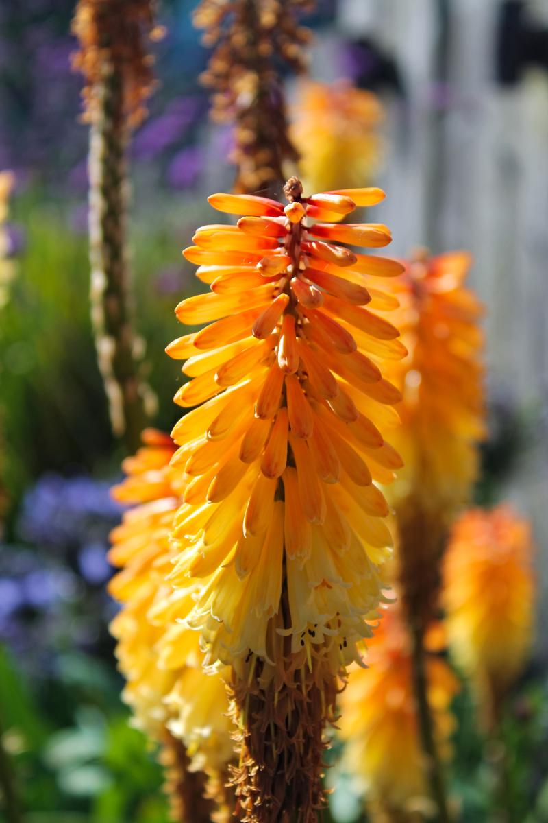 Taken by Oskar Mjolhus-Smith