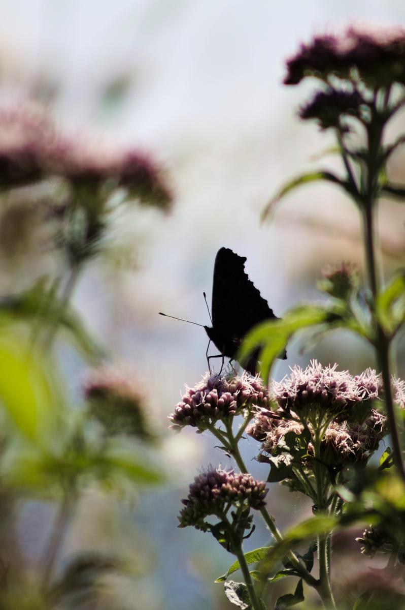 Taken by Oskar Mjolhus-Smith