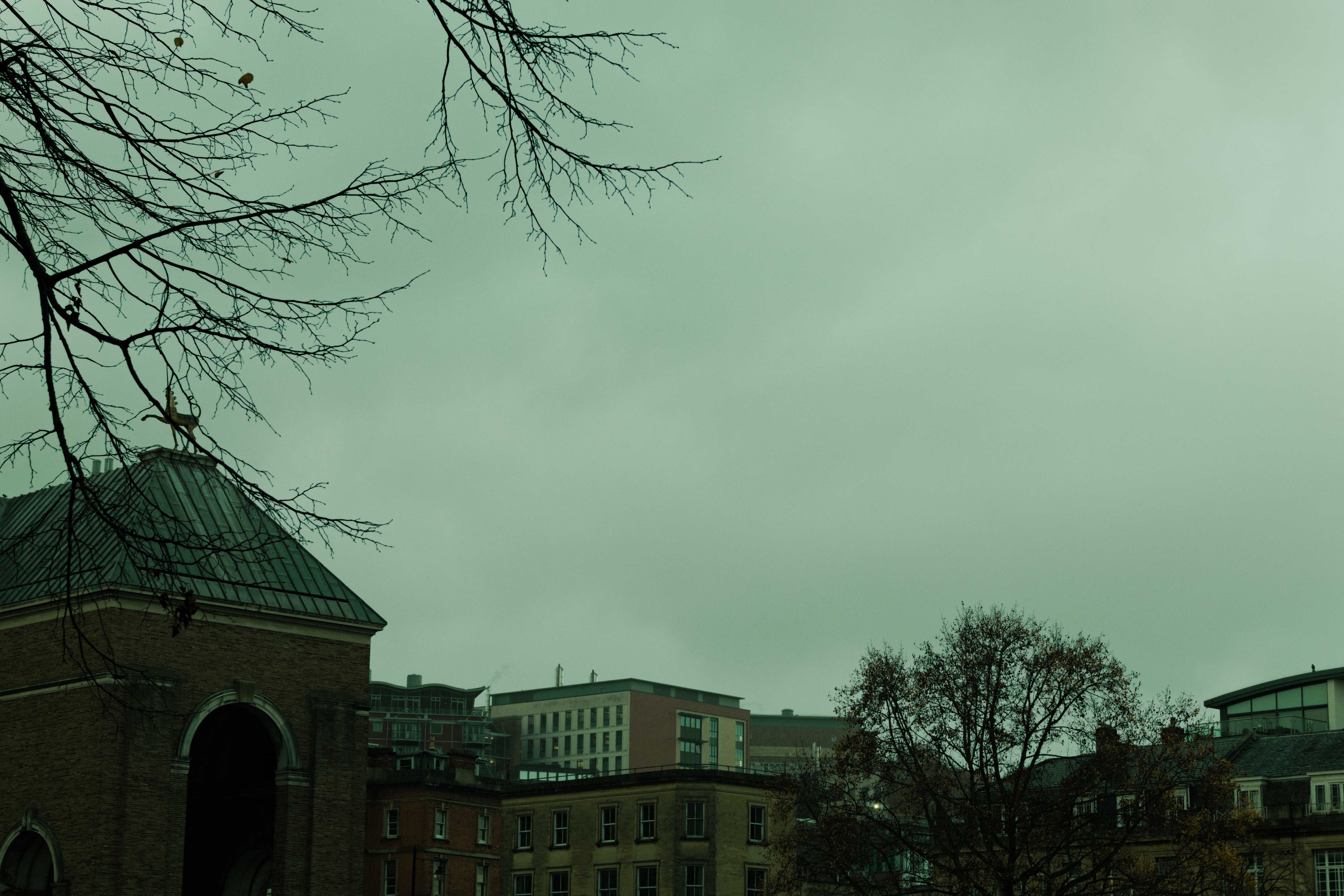 Taken by Oskar Mjolhus-Smith