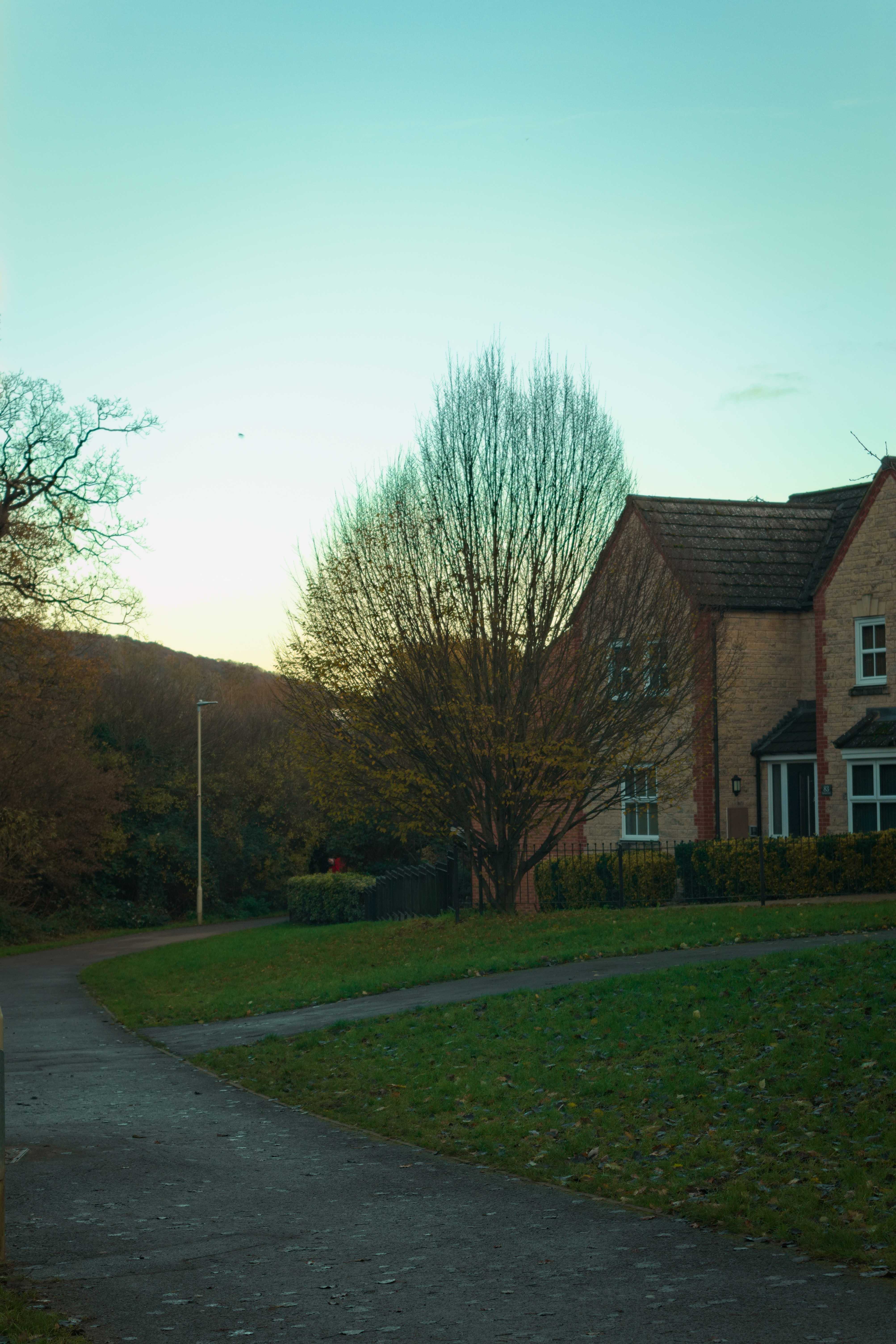 Taken by Oskar Mjolhus-Smith