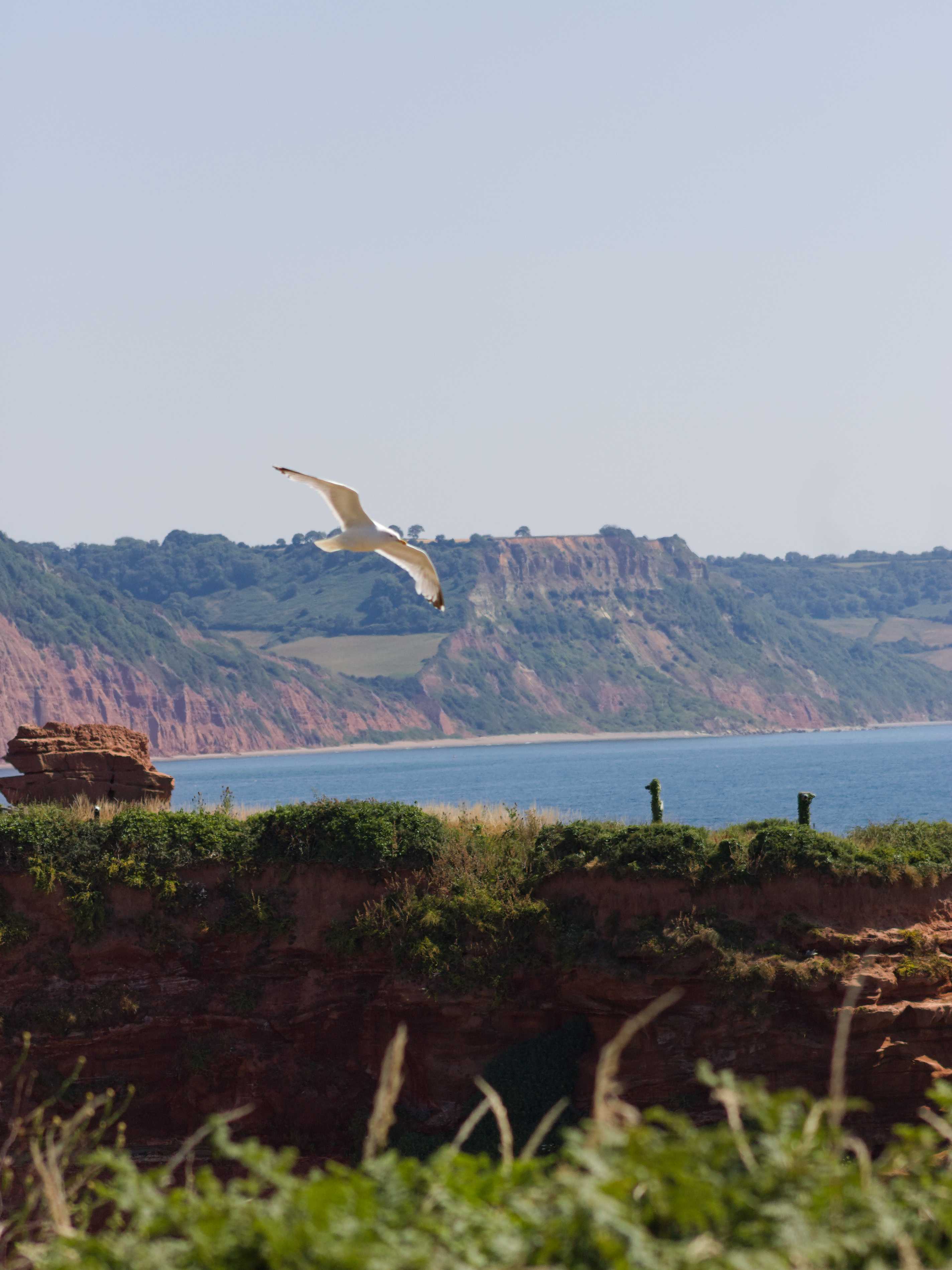 Taken by Oskar Mjolhus-Smith